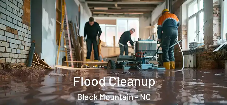  Flood Cleanup Black Mountain - NC