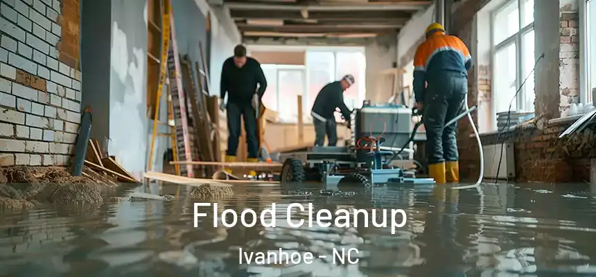 Flood Cleanup Ivanhoe - NC