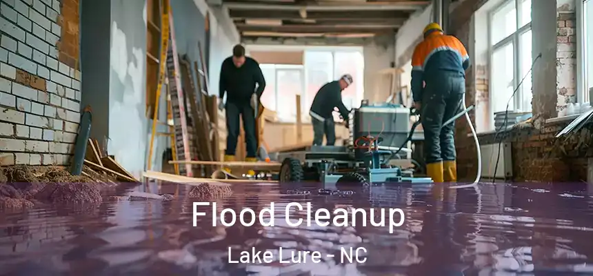  Flood Cleanup Lake Lure - NC