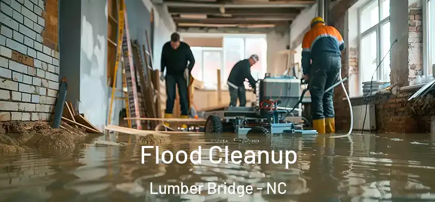  Flood Cleanup Lumber Bridge - NC