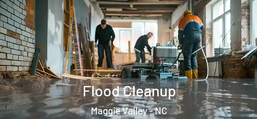  Flood Cleanup Maggie Valley - NC