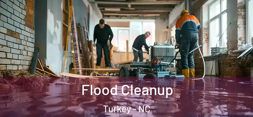 Flood Cleanup Turkey - NC