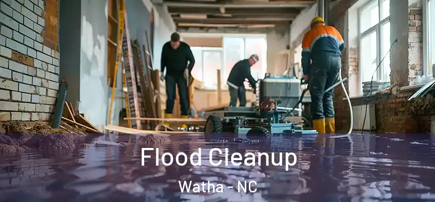 Flood Cleanup Watha - NC