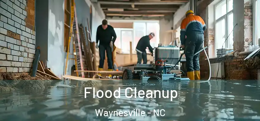  Flood Cleanup Waynesville - NC