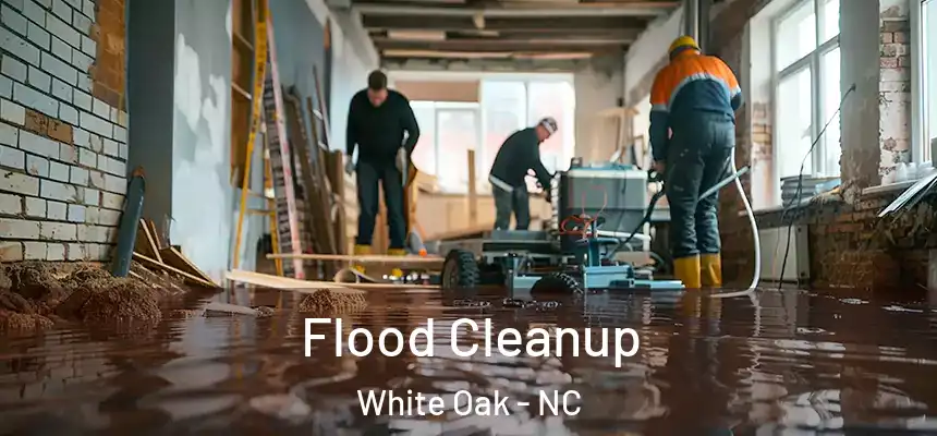 Flood Cleanup White Oak - NC