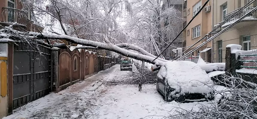 Winter Storm Damage Repair in Fayetteville