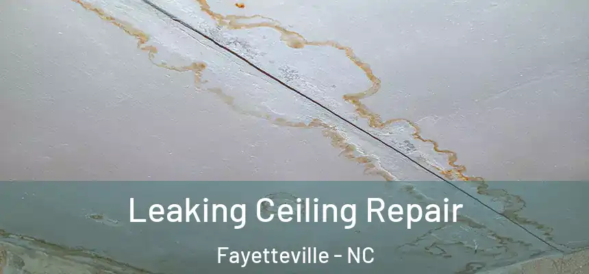 Leaking Ceiling Repair Fayetteville - NC
