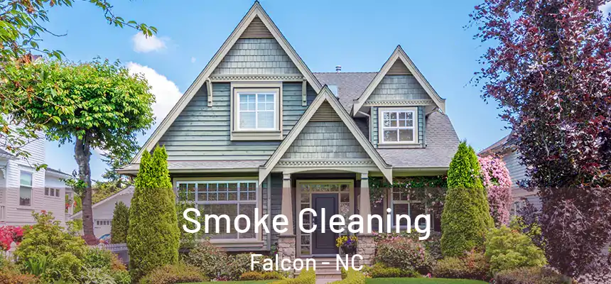  Smoke Cleaning Falcon - NC