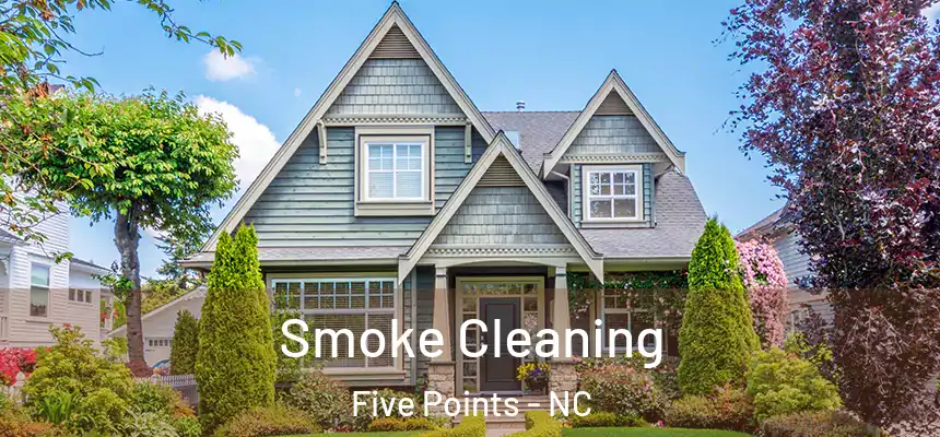 Smoke Cleaning Five Points - NC
