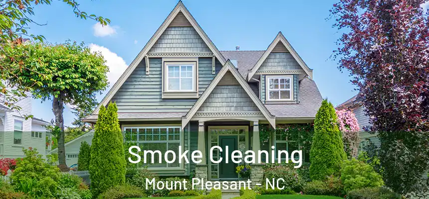 Smoke Cleaning Mount Pleasant - NC